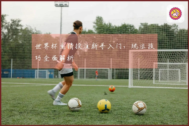 世界杯竞猜投注新手入门，玩法技巧全面解析