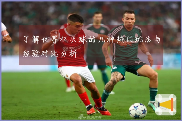了解世界杯买球的几种热门玩法与经验对比分析