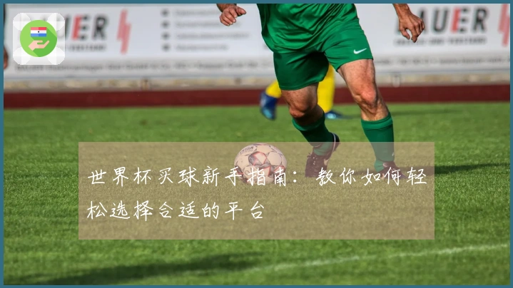 世界杯买球新手指南：教你如何轻松选择合适的平台