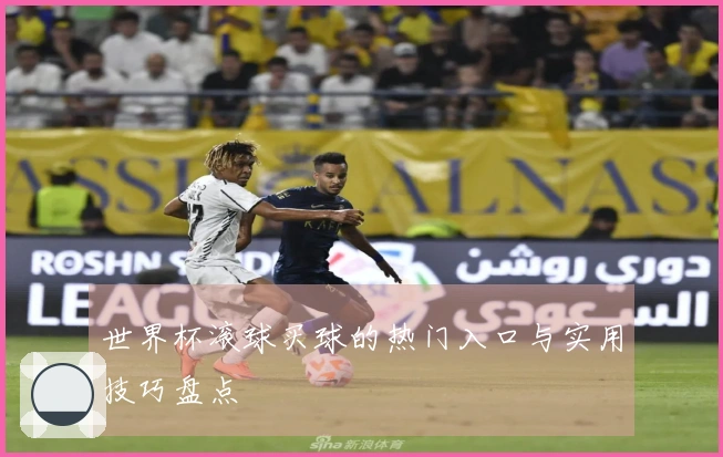 世界杯滚球买球的热门入口与实用技巧盘点