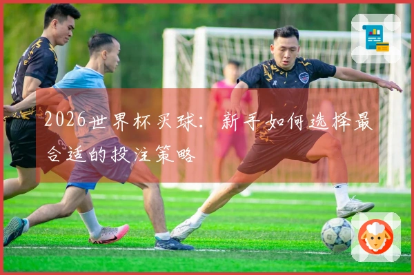 2026世界杯买球：新手如何选择最合适的投注策略