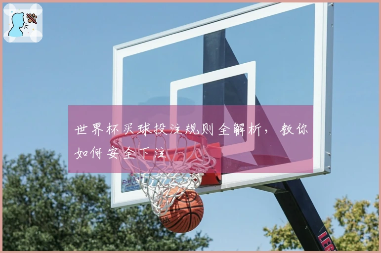 世界杯买球投注规则全解析，教你如何安全下注
